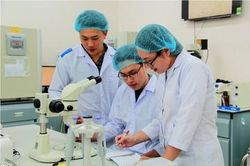 Đăng ký ngành Y khoa, thí sinh phải đạt loại giỏi trong 5 học kỳ?