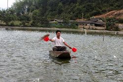 Ấm no nhờ ơn Ðảng