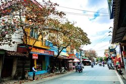 Phố quê