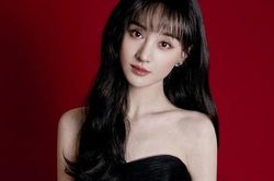 Giữa lùm xùm bỏ rơi con và bị 'phong sát', Trịnh Sảng lại được người này công khai cầu hôn