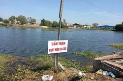 Bủa lưới vây bắt cá sấu nằm trong hồ điều hòa ở Vũng Tàu