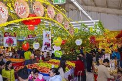 Giảm giá điện khiến CPI chỉ tăng nhẹ trong tháng cận Tết