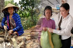 Hàng xóm hé lộ con người thật của Linh Lan, vợ 2 của cố ca sĩ Vân Quang Long