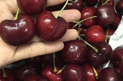 Người phụ nữ ngộ độc nặng sau khi ăn cherry, chuyên gia khuyến cáo lưu ý đặc biệt khi ăn rất hay bị bỏ qua