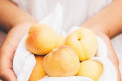 Trái mơ: Thanh nhiệt trị ho
