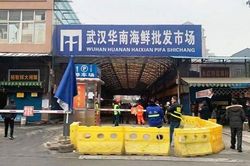Nhóm điều tra WHO đến chợ hải sản Hoa Nam ở Vũ Hán