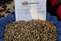 Giá cà phê hôm nay 31/1: Cà phê robusta tăng cầm chừng, thị trường cần một cú hích
