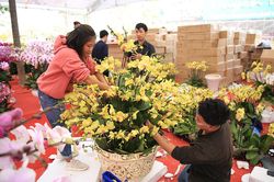 Nhân lên nguồn cảm hứng