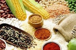 Sau đột quỵ nên ăn gì cho tốt?