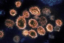 Vì sao Mỹ không săn biến chủng của virus?