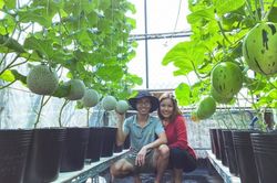 Chàng trai biến sân thượng thành trang trại thu nhỏ khiến ai cũng mê