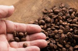 4 sai lầm trong bảo quản cà phê mà bạn hay mắc phải