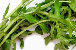 Rau ngổ - thần dược chữa bệnh ở đâu cũng có
