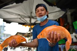 Thưa thớt người đến chợ mua lễ vật cúng tiễn Táo quân