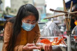 Nhộn nhịp cảnh người dân đi sắm 'phương tiện' tiễn ông Táo về trời bất chấp giá cả