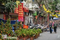Ghé thăm chợ hoa cổ nhất Hà Nội giữa mùa dịch COVID-19