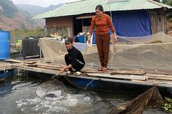 Khai thác lợi thế bên sông