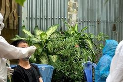 TPHCM: Tiếp nhận và xét nghiệm 811 trường hợp tiếp xúc với các ca nhiễm Covid-19