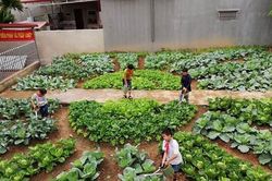 Nâng cao hiệu quả giáo dục kỹ năng sống trong nhà trường