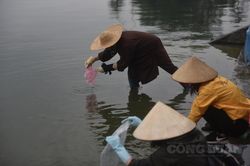 Hà Nội: 'Tiễn' ông Táo về trời, người dân thả cá, không thả túi nilon