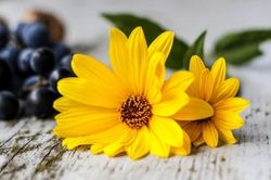 Tử vi thứ Sáu ngày 5/2/2021 của 12 cung hoàng đạo