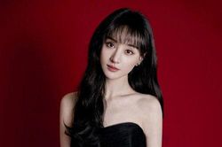 Giữa lùm xùm bỏ rơi con và bị 'phong sát', Trịnh Sảng lại được người này công khai cầu hôn