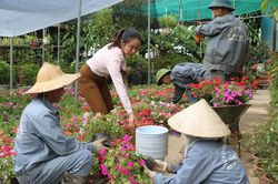 Người lao động và nỗi niềm tiền Tết
