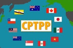 Việt Nam sẵn sàng chia sẻ kinh nghiệm tham gia CPTPP với Anh