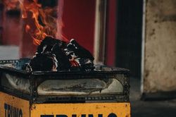 Người Sài Gòn tấp nập mua cá lóc cúng ông Công ông Táo, chủ tiệm nướng mỏi tay không kịp bán
