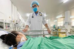 Cứu cô gái bị suy đa tạng do ong đốt