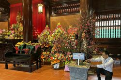 Những 'cây đào tâm nguyện' từ Hà Nội