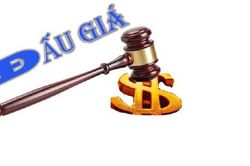 Đấu giá quyền sử dụng đất