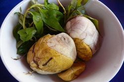 Ăn rau răm bạn bắt buộc phải biết điều này