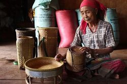Bạn đồng hành của người Bru - Vân Kiều