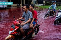 Kinh hoàng 'dòng sông máu' làm ngập ngôi làng ở Indonesia