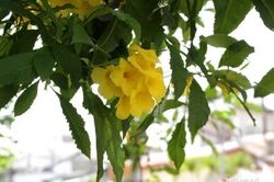 Gần Tết bị chồng đòi nhẫn cưới, cô gái nói một câu đảo ngược vị thế trong phút chốc