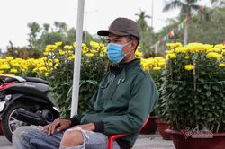 Chợ hoa ngày 26 Tết ở Đà Nẵng ế ẩm chưa từng có