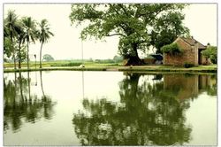 Lệ làng phải dưới phép nước