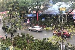 Chủ động ứng phó với mưa lớn kèm lốc sét, mưa đá và gió giật mạnh
