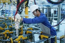 Những công việc nào được về hưu trước tuổi?
