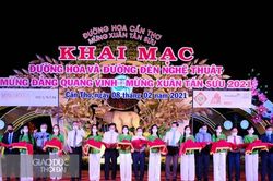 Cần Thơ: Khai mạc đường hoa và đường đèn nghệ thuật Tân Sửu 2021