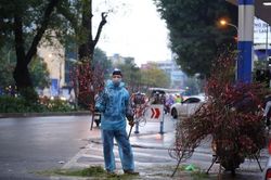 Người bán đào, quất ở Hà Nội dầm mình dưới mưa lạnh ngày 28 Tết