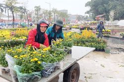 Công nhân dầm mưa trang trí Tết ở thành Vinh