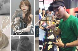 Streamer Việt kiếm 'bộn' tiền từ chăm mèo, bán bánh mì