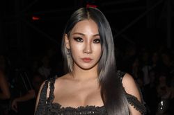 29 Tết: Mẹ CL (2NE1) qua đời!