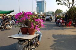 Những dịch vụ hốt bạc ngày giáp Tết