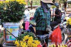Xuân đã về ở tâm dịch Chí Linh