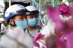 Người dân đua nhau mua lan giảm giá ngày cuối năm