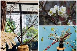 Chị em Hà thành săn lùng cành cây độc đáo chơi Tết