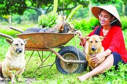 Thành công hay thất bại thì hãy cứ về nhà